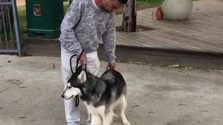 VID-20190419-WA0026 (1)